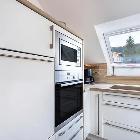 Apartment Haus Schoenblick - Sarina 2 Willingen (Upland)